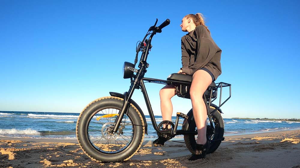 fat tire ebike