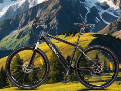 Why 29 Inch Wheels Are Perfect for Mountain EBikes