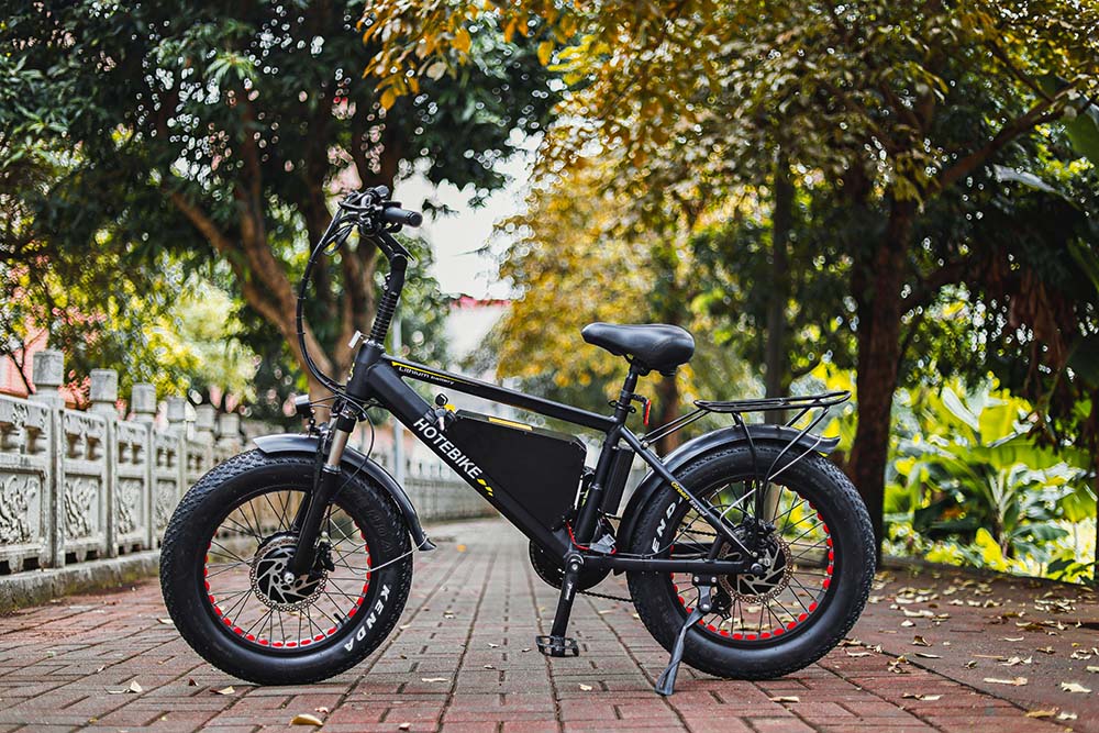 Dual Motor EBikes