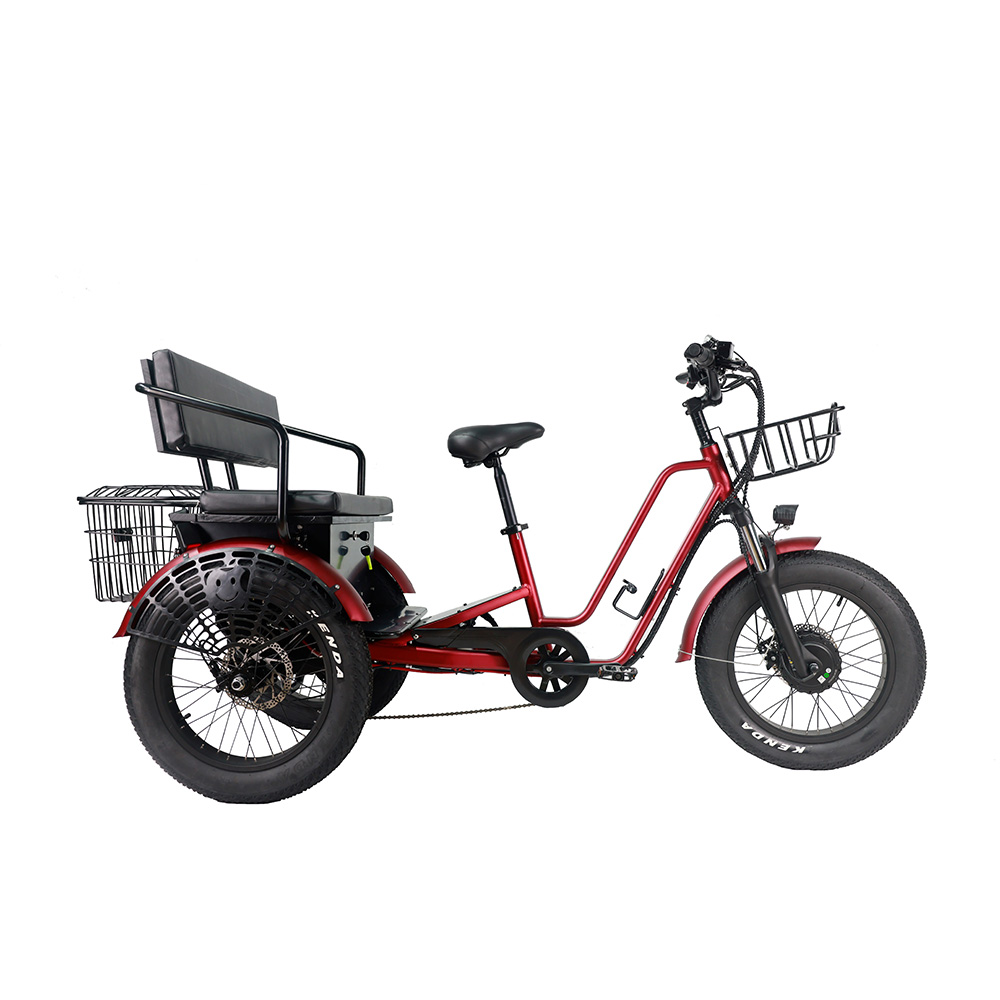 Long Range Ebike 3 Wheels Electric Bike Cargo 48v Electric Tricycles for Heavy Adults 1000w Wholesale Electric Trikes - Blog - 1