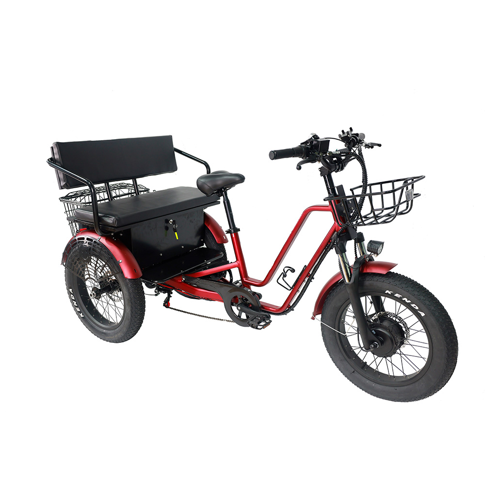 Long Range Ebike 3 Wheels Electric Bike Cargo 48v Electric Tricycles for Heavy Adults 1000w Wholesale Electric Trikes - Blog - 2