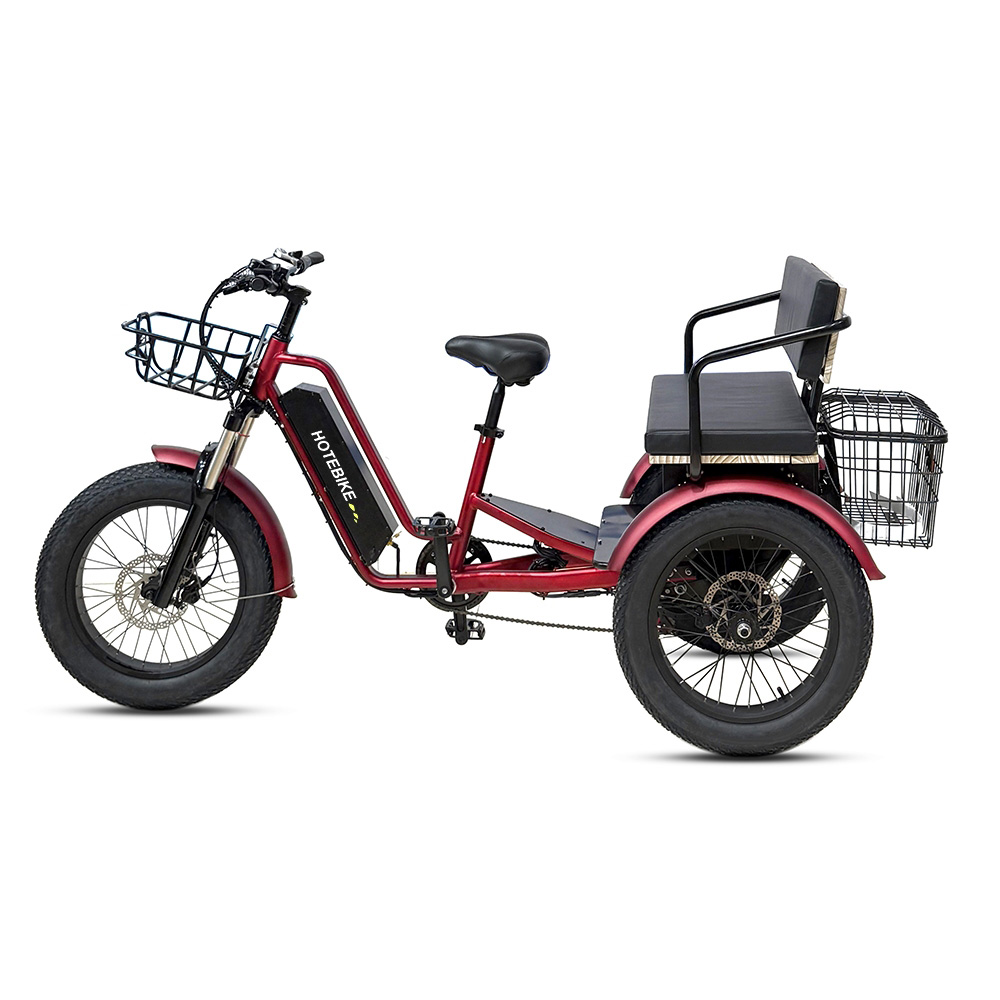 Fat Tire 3 seats 3 wheel electric bike 48V Rear Motor with differential mechanism