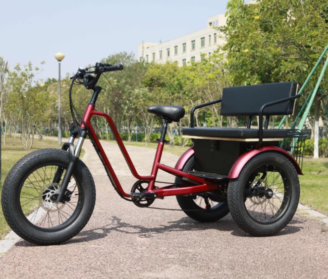 Electric Tricycle with Passenger Seat for Adults