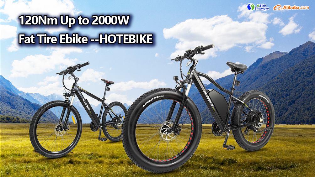 Understanding the 1000w Hub Motor Electric Bike - Blog - 1