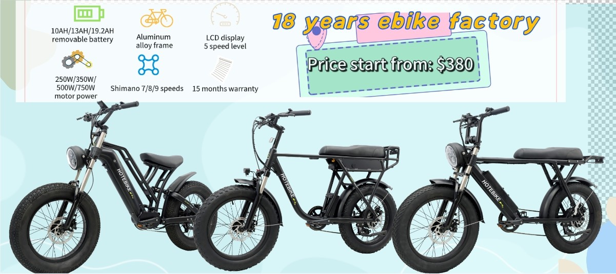 Are electric assist bikes worth it? - Blog - 1